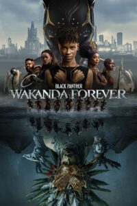 Black Panther: Wakanda Forever (2022) iMAX Dual Audio [Hindi ORG & ENG] BluRay 480p, 720p, 1080p & 2180p 4K UHD | GDRive