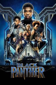 Black Panther (2018) Dual Audio [Hindi ORG & ENG] BluRay 480p, 720p & 1080p | GDrive