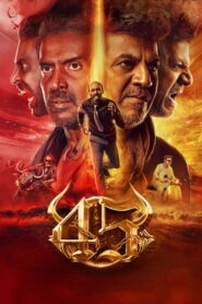 45 (2025) Dual Audio [Hindi ORG & Kannada] WEB-DL 480p, 720p & 1080p | GDRive