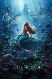 The Little Mermaid (2023) Dual Audio [Hindi ORG & ENG] WEB-DL 480p, 720p & 1080p | GDRive