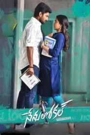 Nenu Local (Super Khiladi 4) (2017) [Hindi Dub] WEB-DL 480p, 720p & 1080p | GDRive
