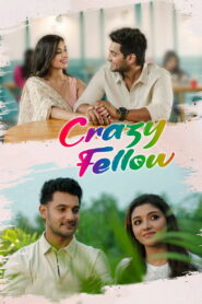Crazy Fellow (2022) Dual Audio [Hindi ORG & Telugu] WEB-DL 480p, 720p & 1080p | GDRive