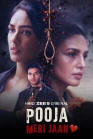 Pooja Meri Jaan (2026) Hindi WEB-DL 480p, 720p & 1080p | GDRive